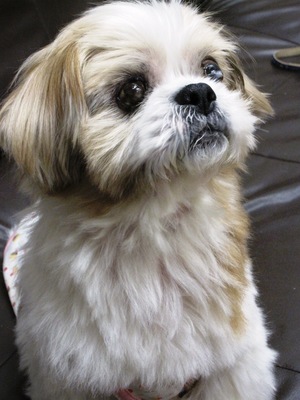 �Ǹ�Υȥ�ߥ�