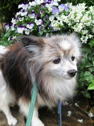 2019(H31)-4-25  夬βֻ (18)