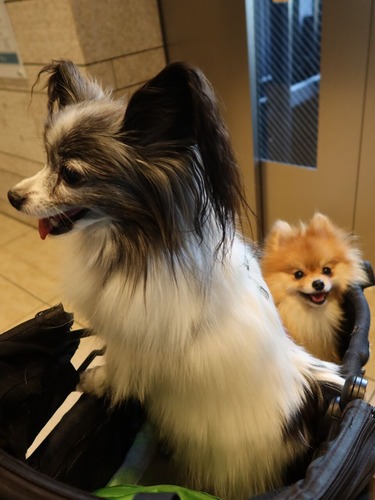 2021(R3)-4-1 ̱Ҷ̻ (23)