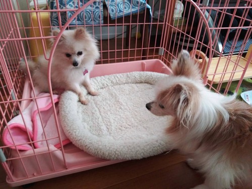 ��������&��̴ 2019(R1)-12-6