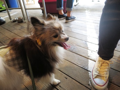 2019(R1)-5-18 第56回里親会 巣鴨 (6)