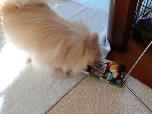 2021(R3)-1-29 �Ρ������ (17)