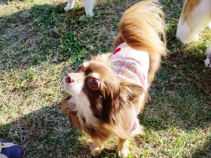 2015(H27)-10-25 第2回卒オフ (210)