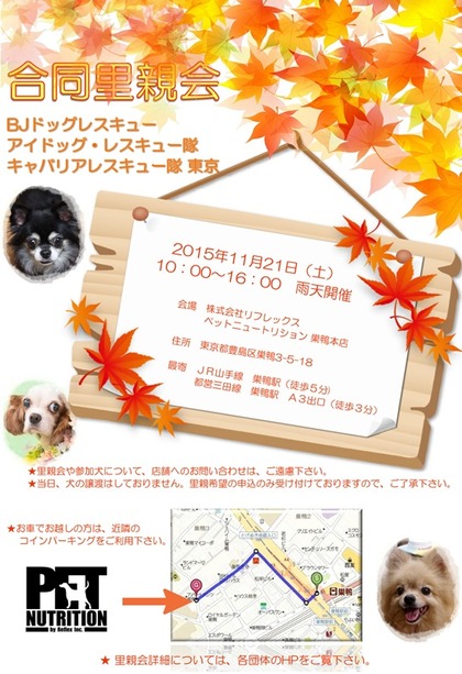 Τ�Ʋ���Υ��饷151121