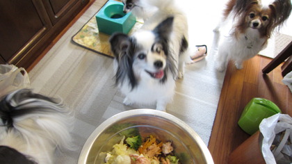 2013-6-3 食事風景 (2)