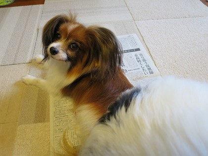 2014(H26)-10-9 �����ס��夬�� (2)