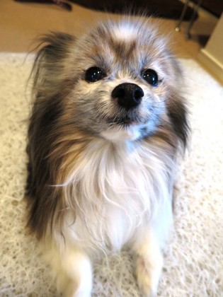 2019(R1)-5-11 Ǥ (13)