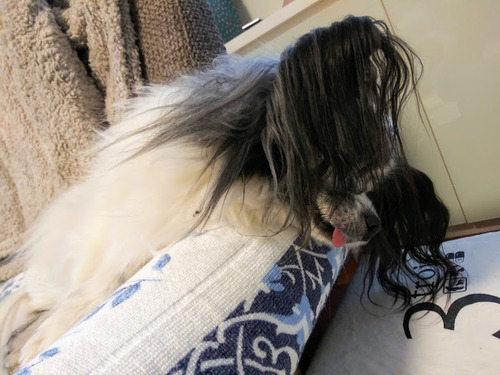 2021(R3)-1-28 ����3ǯ������� (5)