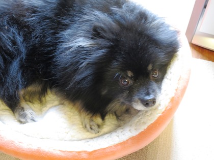 2018(H30)-4-7 ī����Ȥ��θ�Υޥå��� (10)