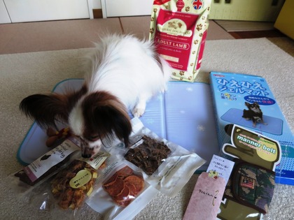 2016(H28)-7-16Τ�Ʋ񤴻ٱ� (2)