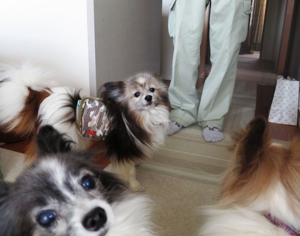 2019(R1)-5-11 ָư (2)