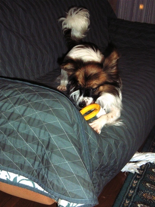 ハイテンション 1