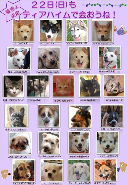 �ƥ����ϥ��� 9��22�� ���ø�ǭ����