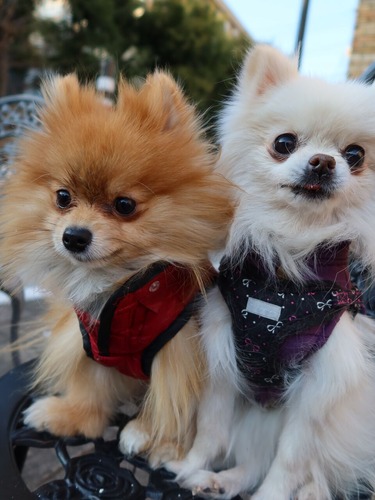 2021(R3)-1-21 ��ͳ���� ��������� (4)