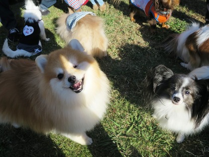 2015(H27)-10-25 第2回卒オフ (216)