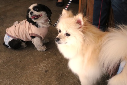 2016(H28)-12-10 第23回里親会・白金台 (15)