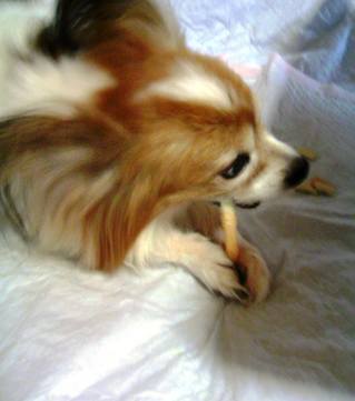 ����򤫤ߤ���