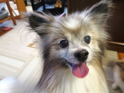 2019(R1)-7-20 �嵐������������ޥޤΥ���Ĥ��� (12)