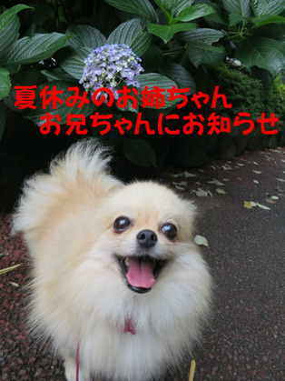 BlogPaint