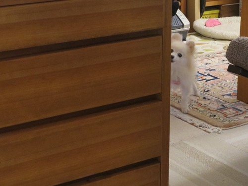 2020(R2)-4-2 ³�Ԥ�����ʤ����� (1)