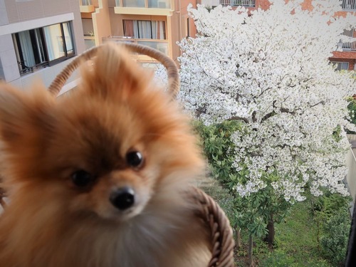 2012(R3)-3-29 ΢κ (3)