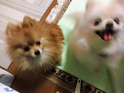 2021(R3)-1-28 ����3ǯ������� (9)