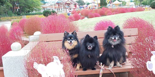 2020(R2)-10-14 ǰ (Ҥ͸) 03