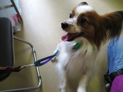 2016(H28)-7-16 ��17��Τ�Ʋ���� (5)