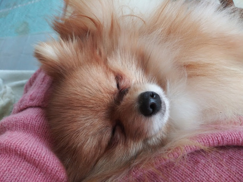 2020(R2)-12-19 äȤ (11)