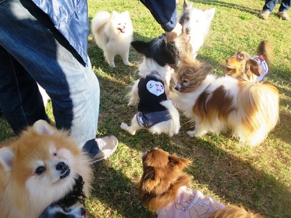 2015(H27)-10-25 第2回卒オフ (234)