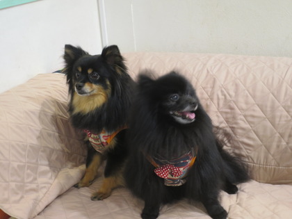 2018(H30)-5-2 åפ礤(L Pin,z) (6)