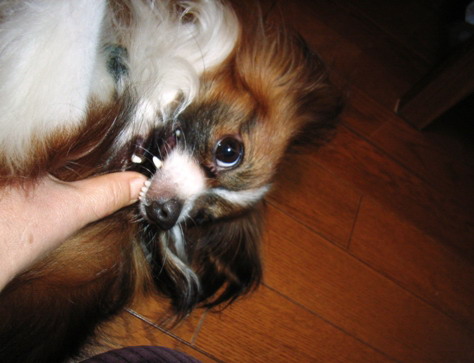 ���ޤ���