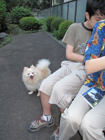 �񤤤��褿�Ρ���