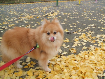 トライアル2日目(1)