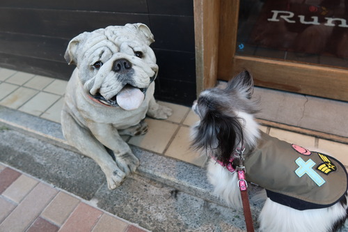 2021(R3)-1-14 ������Ȱ��� (5)