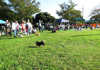 2017-11-3 卒オフ会 (13)