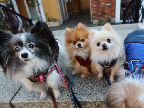 2021(R3)-1-21 ��ͳ���� ��������� (21)