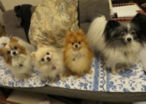 2020(R2)-12-8 ǥե˾äƤߤ (11)