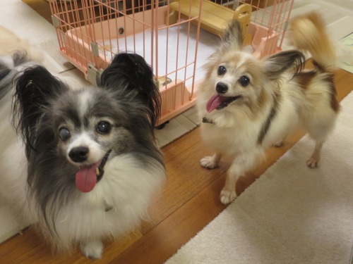 2020(R2)-9-1 ���14�� (5)