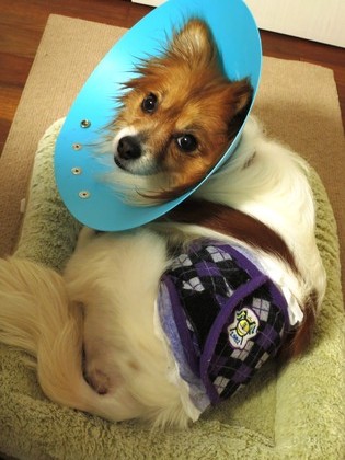 2018(H30)-4-22 �Ϥ߽Ф��� (1)