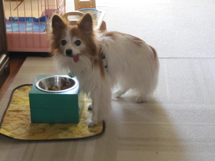 ī���Ϥ� (3)