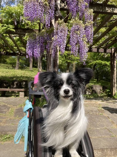 2021(R3)GW 前橋フラワーパーク