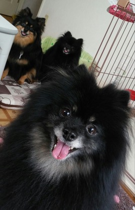 2018(H30)-5-23 ȥ饤 03