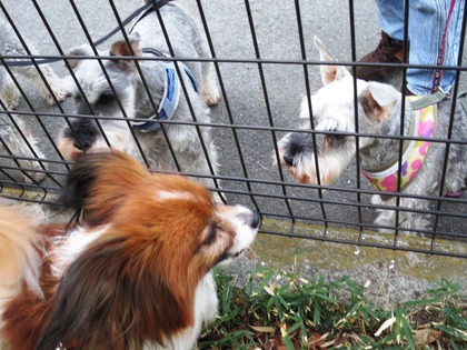 2014-3-17 春は強風 (29)