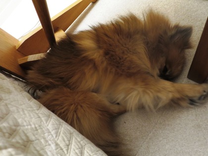 2019(H31)-2-9 傍に居たいの (6)