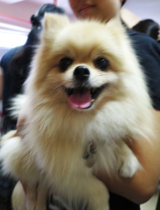 2017(H29)-9-16 第31回 里親会 (5)