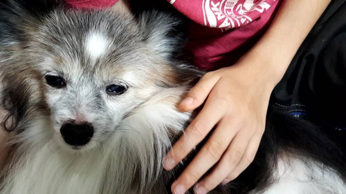 2019-9-26 トライアル中