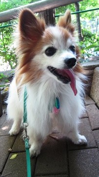 中根公園 2013-08-07 (18)