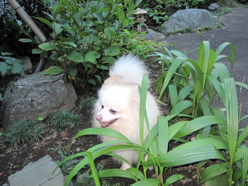 �񤤤��褿�Ρ���