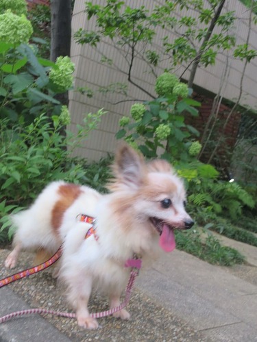 2020(R2)-7-20 ߱äƾд (7)